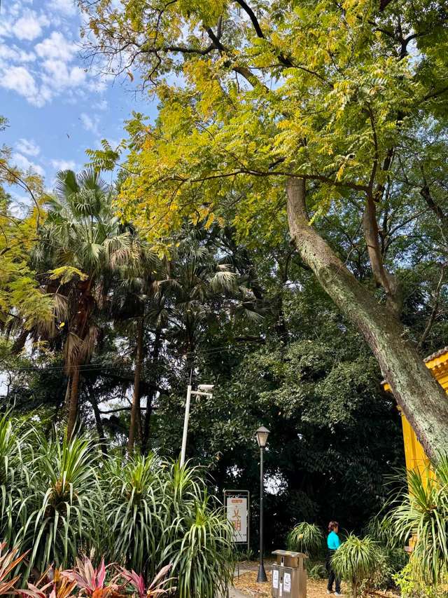 沿着小路往上走