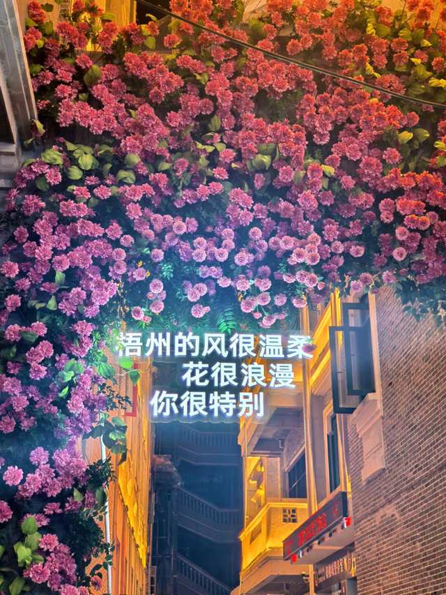 花墙晚上也好看